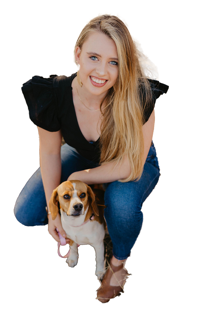 Odé - Decor Specialist